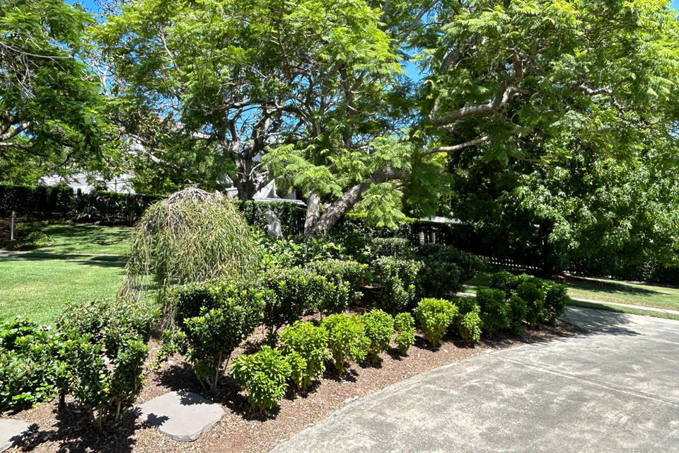 Garden Bed & Shrub Maintenance