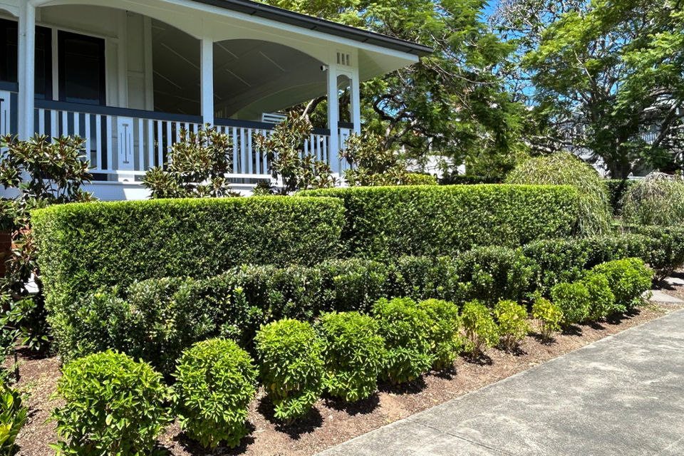 Structured Hedge Maintenance